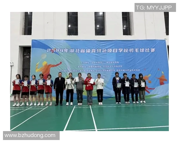 南京羽毛球队与深圳羽毛球队赛后战术分析与复盘探讨