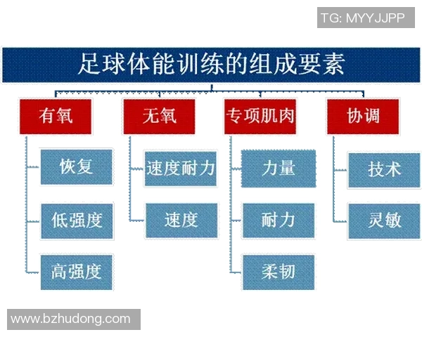 深圳足球队耐力表现数据分析揭示运动员体能训练与比赛成绩的关系